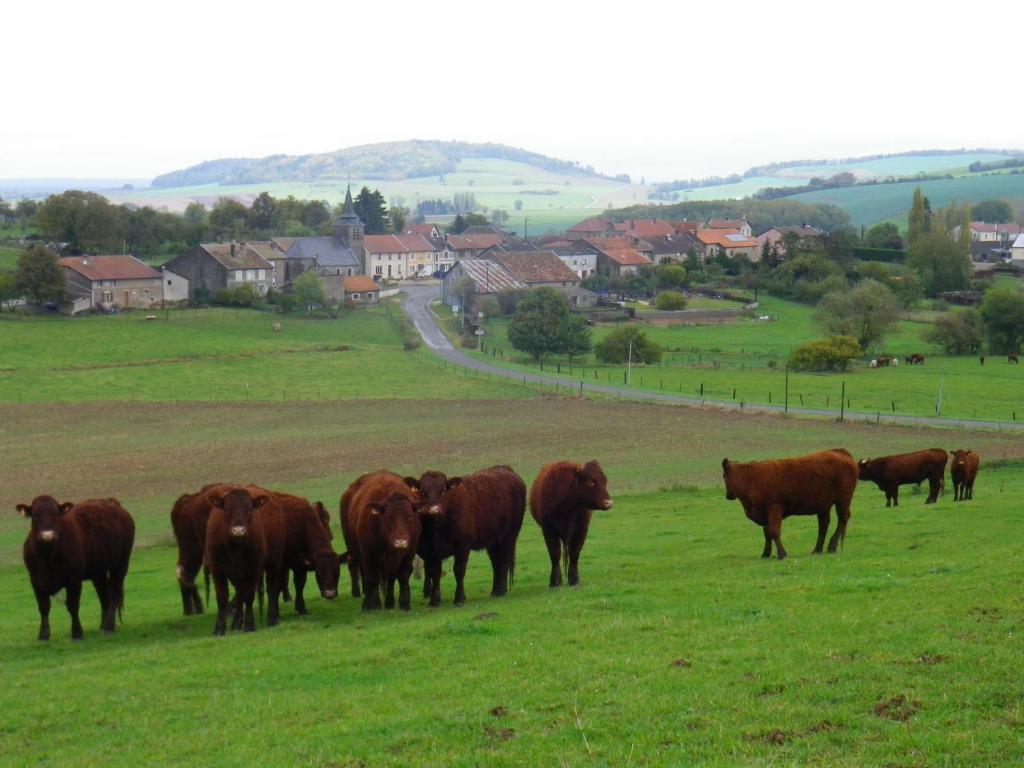 Chambre D'Hotes La Ferme Du Vallon Moirey Esterno foto